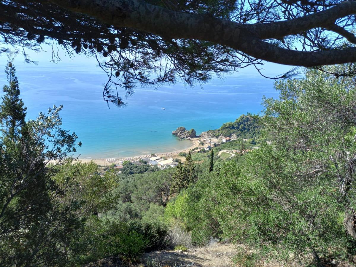 Appartement Tolis Aparts
